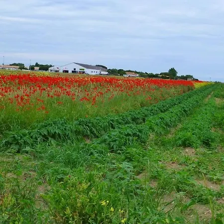 Relais La Fleur فندق *