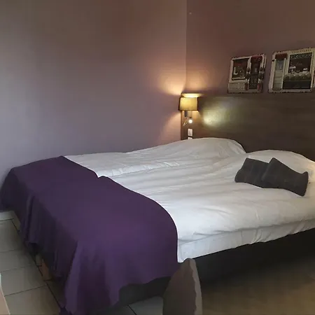 Relais La Fleur 酒店 Maisonnay