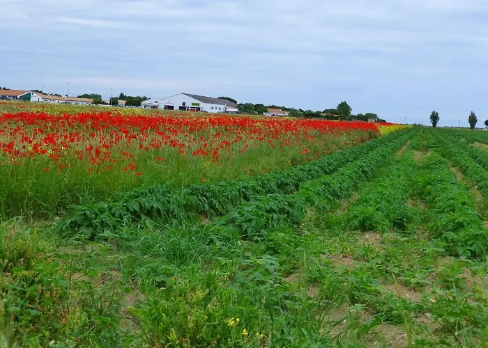 Relais La Fleur Hotel